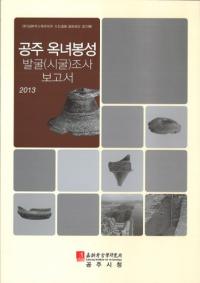 공주 옥녀봉성 발굴(시굴)조사 보고서 (̽ȯ()Ĵ)