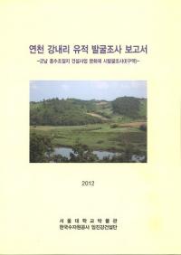 연천 강내리 유적 발굴조사 보고서 (ΤȯĴ)