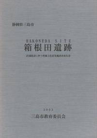 箱根田遺跡