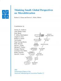 Thinking Small : Global Perspectives on Microlithization