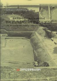 부여 궁남초등학교유적 발굴조사 보고서 (;عȯĴ)