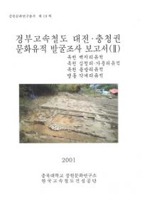 경부고속철도 대전충청권 문화유적 발굴조사 보고서2 (®ŴƻġʸȯĴ)