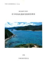 美術・報告書】鹿児島 倉木崎海底遺跡 発掘調査報告書２冊 本 アート